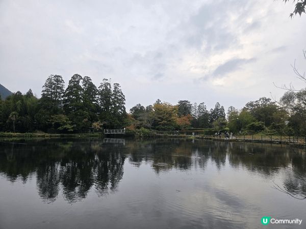 由布院金鏻湖，美好景致，悠哉悠哉，湖光山色，美不勝收。