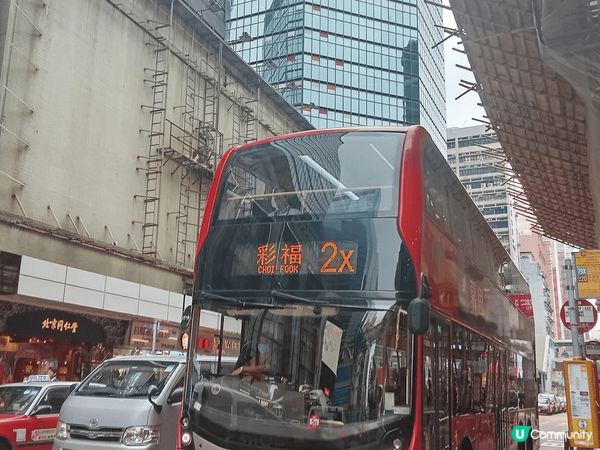 聖誕節打卡，可以約香港導盲犬去尖咀連卡佛T gallery和...
