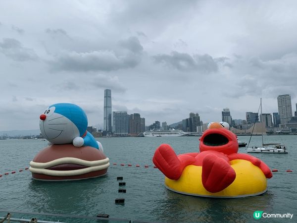 維港巡遊超吸睛！😍✨