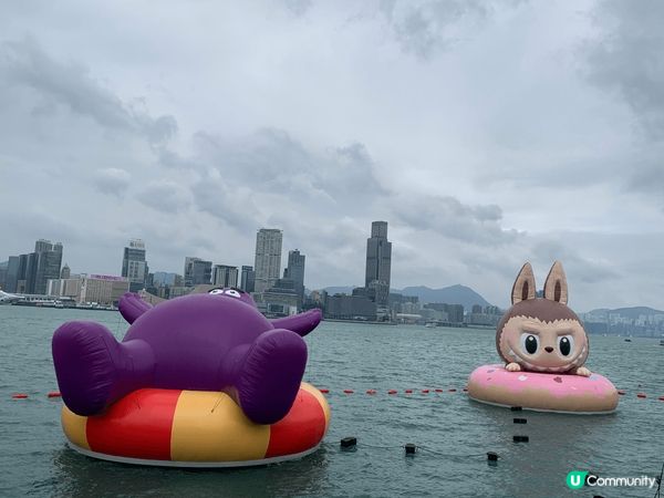 維港巡遊超吸睛！😍✨