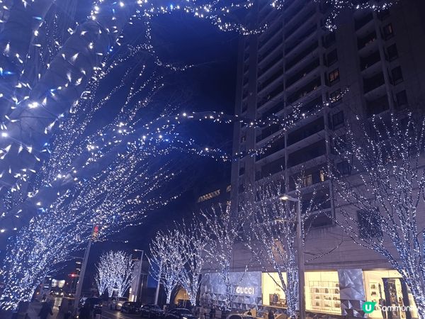 上面果幾張系日本聖誕果陣時嘅路面燈飾，超靚超有feel~