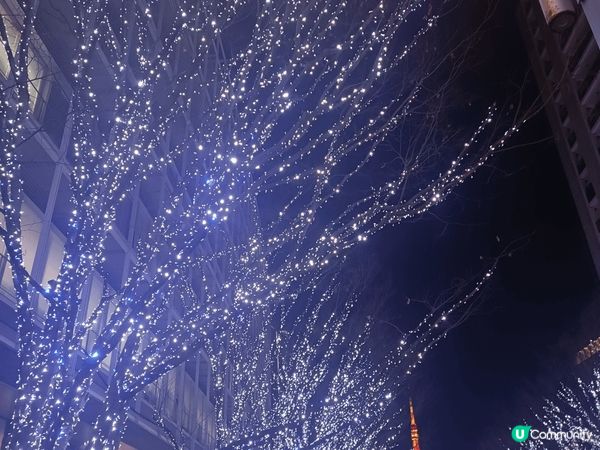上面果幾張系日本聖誕果陣時嘅路面燈飾，超靚超有feel~