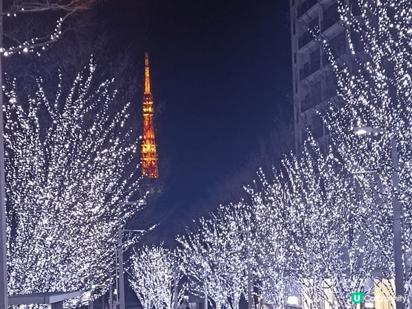 上面果幾張系日本聖誕果陣時嘅路面燈飾，超靚超有feel~