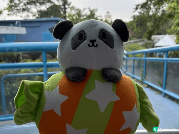 Ocean park