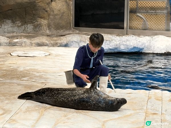 Ocean park
