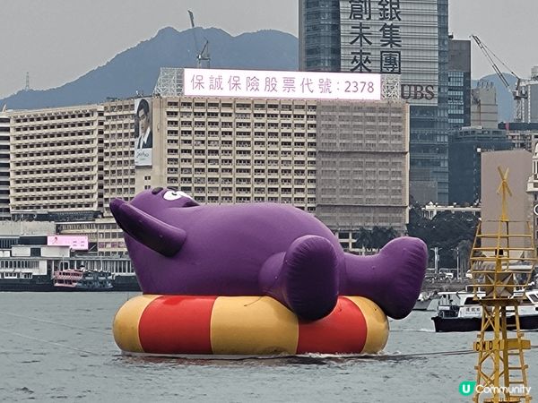 想像維港夜空下，巨型Doraemon藍色身影如夢幻氣球漂浮水...