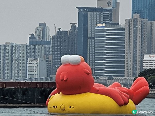 想像維港夜空下，巨型Doraemon藍色身影如夢幻氣球漂浮水...