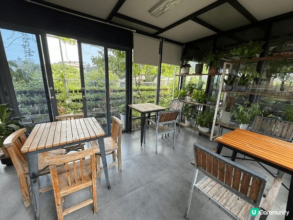 聖誕涼涼地推薦去郊遊，元朗信芯園有非常多植物睇，又有一個室內...