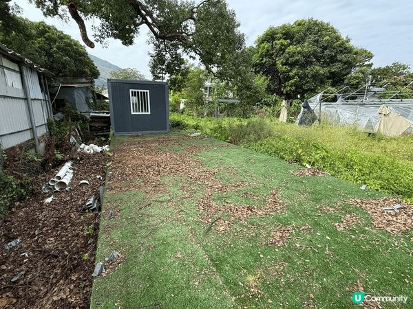 聖誕涼涼地推薦去郊遊，元朗信芯園有非常多植物睇，又有一個室內...