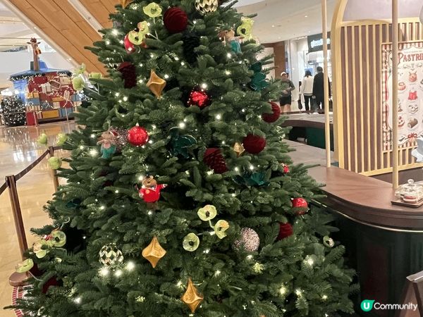 聖誕列車即將出發，還沒上車的旅客請盡快上車🚂🎄🏠嘟嘟～～...