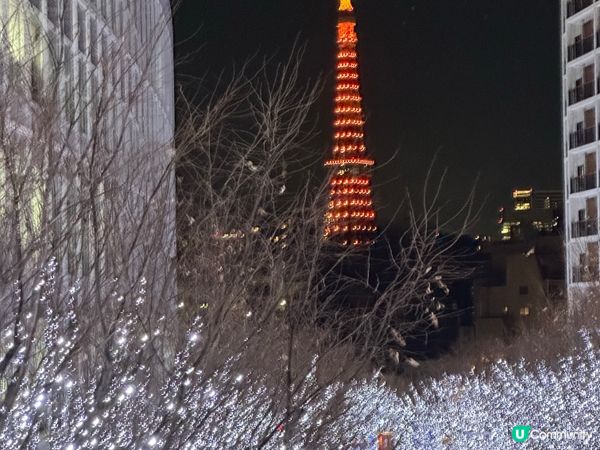 🇯🇵過聖誕😍六本木聖誕燈飾不容錯過☺️