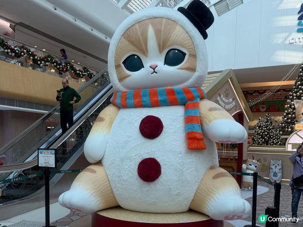 聖誕節梗係周圍去影吓相啦