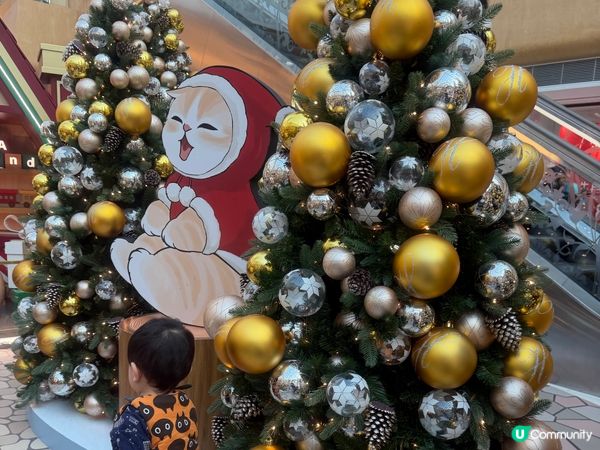 聖誕節梗係周圍去影吓相啦