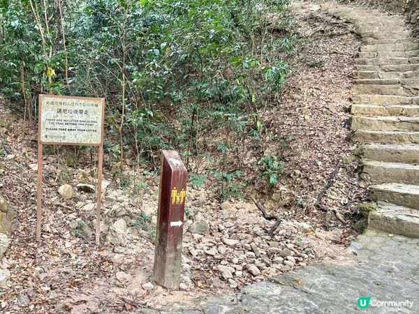 親子行山｜大美督家樂徑｜十二生肖標柱｜一小時易行美景路線 📸