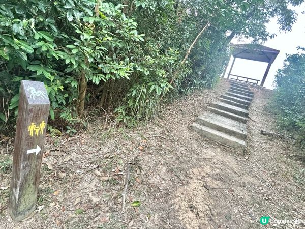 親子行山｜大美督家樂徑｜十二生肖標柱｜一小時易行美景路線 📸