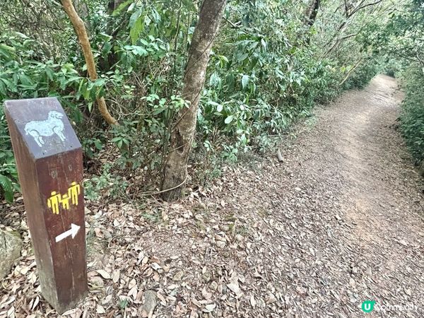 親子行山｜大美督家樂徑｜十二生肖標柱｜一小時易行美景路線 📸