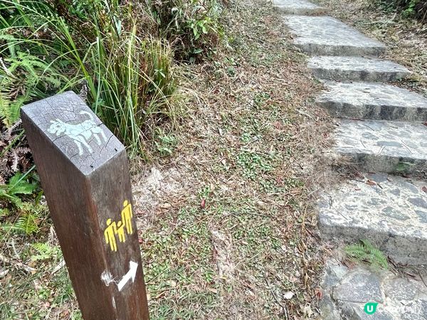 親子行山｜大美督家樂徑｜十二生肖標柱｜一小時易行美景路線 📸