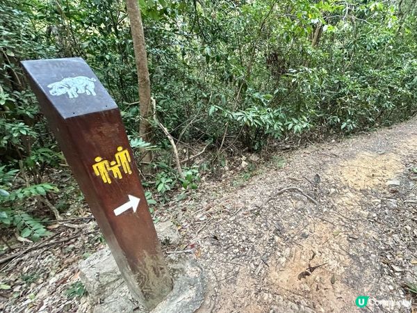 親子行山｜大美督家樂徑｜十二生肖標柱｜一小時易行美景路線 📸