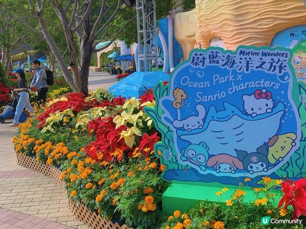 海洋公園｜Sanrio Characters 驚喜聯動🐰