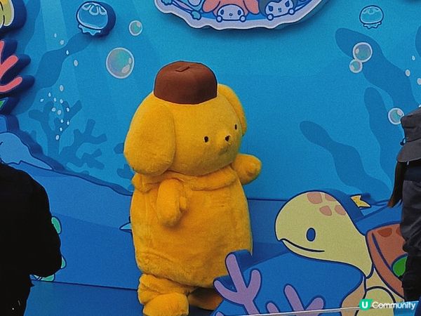 海洋公園｜Sanrio Characters 驚喜聯動🐰