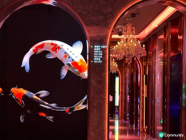 【深圳KTV天花板！試過返唔到轉頭🎤】