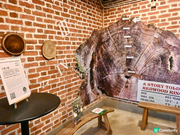  🌿 走進森林裡的百年警署：大埔「綠匯學苑」的重生傳奇