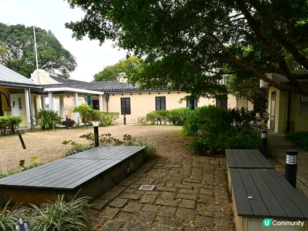  🌿 走進森林裡的百年警署：大埔「綠匯學苑」的重生傳奇