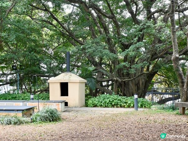  🌿 走進森林裡的百年警署：大埔「綠匯學苑」的重生傳奇