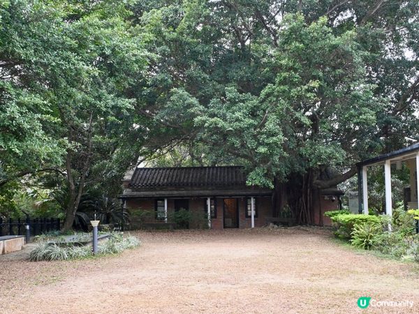  🌿 走進森林裡的百年警署：大埔「綠匯學苑」的重生傳奇