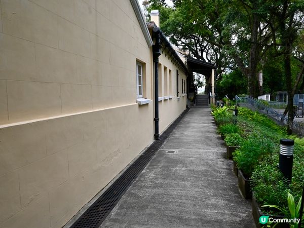  🌿 走進森林裡的百年警署：大埔「綠匯學苑」的重生傳奇