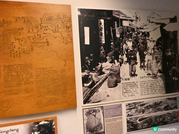  🌿 走進森林裡的百年警署：大埔「綠匯學苑」的重生傳奇