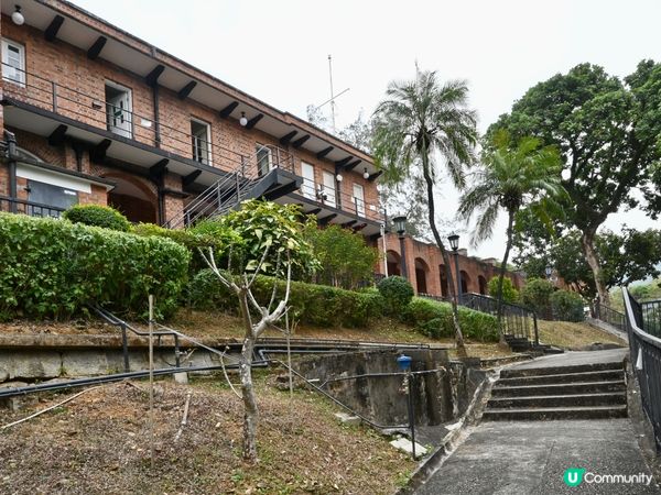 紅磚古堡探險記！🏰🌳