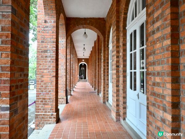 紅磚古堡探險記！🏰🌳