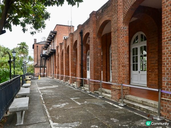 紅磚古堡探險記！🏰🌳