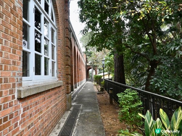 紅磚古堡探險記！🏰🌳