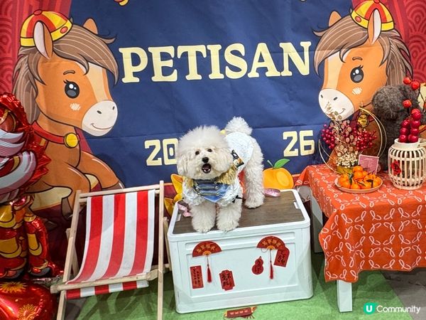 🐾 蠢蠢帶大家影📸馬年打卡點!