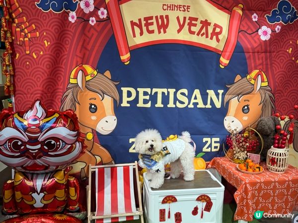 🐾 蠢蠢帶大家影📸馬年打卡點!