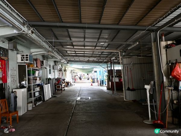 百年漁村故事🌊遷徙傳奇✨