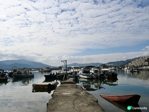 百年漁村故事🌊遷徙傳奇✨