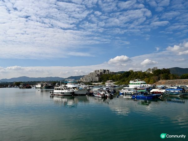 百年漁村故事🌊遷徙傳奇✨