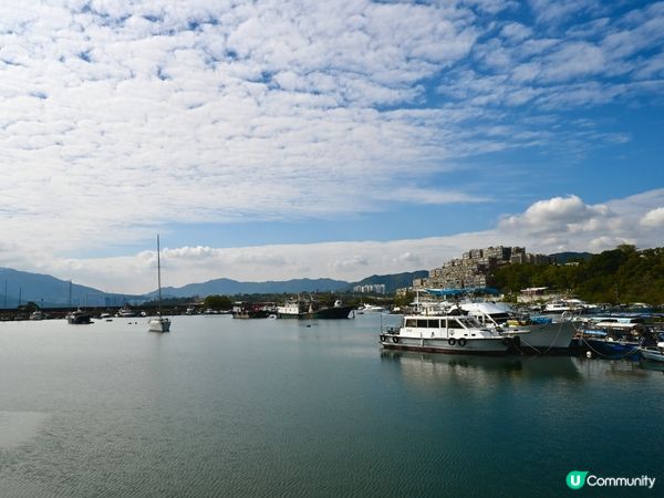 百年漁村故事🌊遷徙傳奇✨