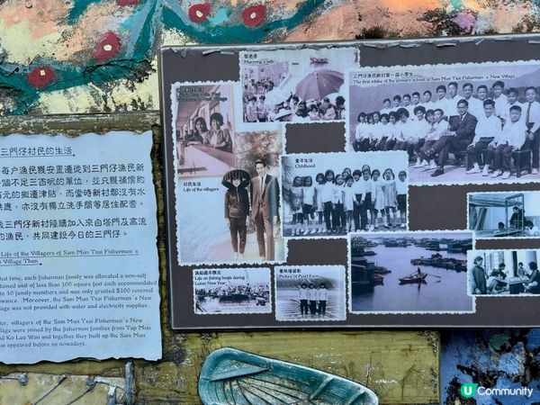 百年漁村故事🌊遷徙傳奇✨