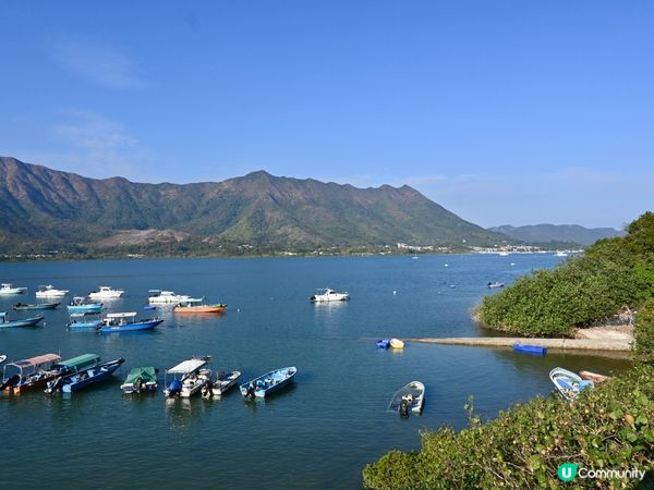 百年漁村故事🌊遷徙傳奇✨