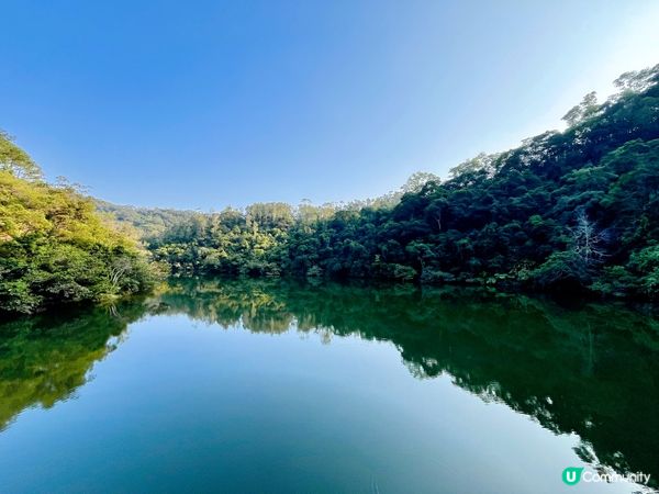 鶴藪水塘：半世紀的傳說 🏞️
