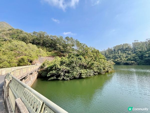 鶴藪水塘：半世紀的傳說 🏞️