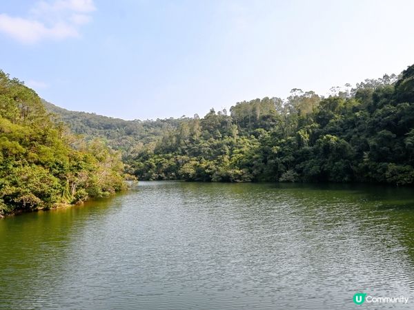 鶴藪水塘：半世紀的傳說 🏞️