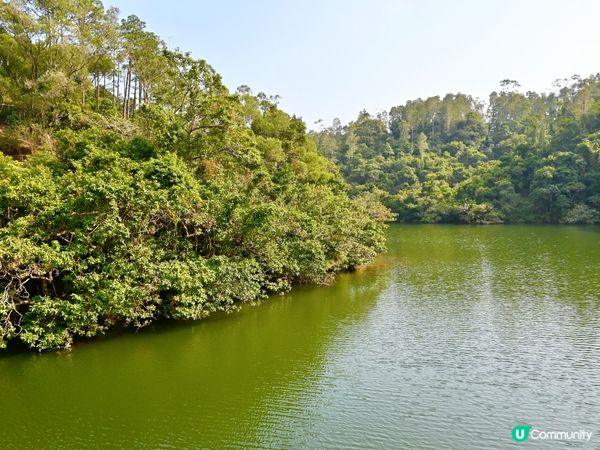 鶴藪水塘：半世紀的傳說 🏞️