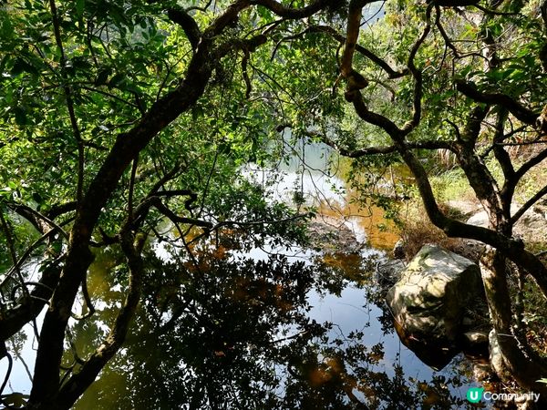 鶴藪水塘：半世紀的傳說 🏞️