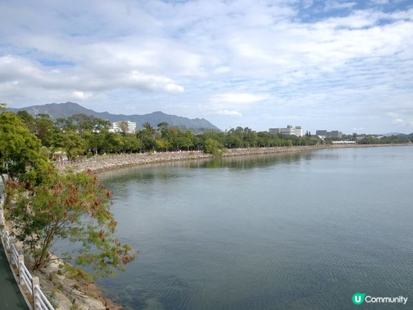 設計絕了！天人合一美景 🤩