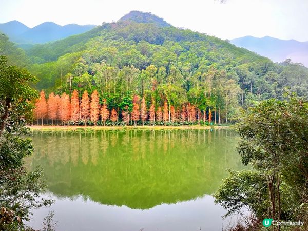 流水響水塘：香港天空之鏡 🏞️✨